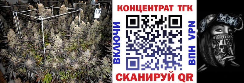 закладка  Топки  Дистиллят ТГК гашишное масло 