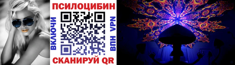 Галлюциногенные грибы Psilocybe  кракен вход  Топки 